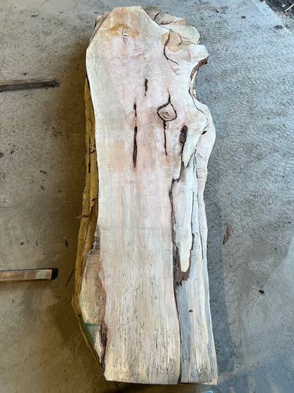 Live Edge Maple Sku# 26470S-81