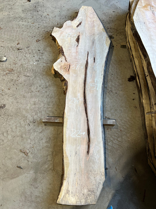 Live Edge Maple Sku# 26471S-76