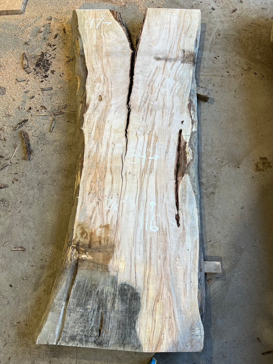 Live Edge Curly Maple Sku# 26478S-71