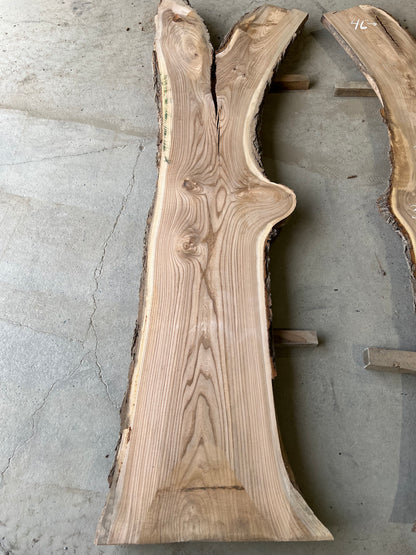 Live Edge Elm Sku# 26592S-60