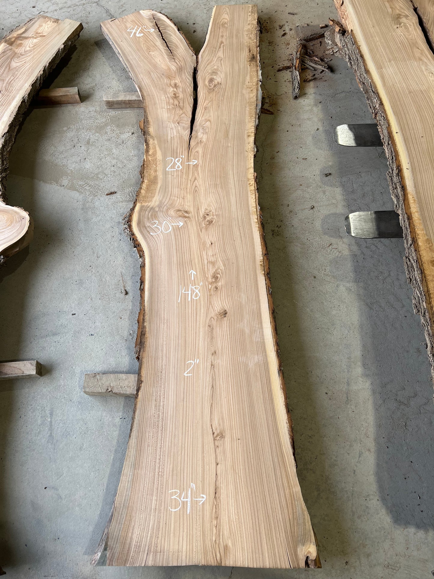 Live Edge Elm Sku# 26593S-64