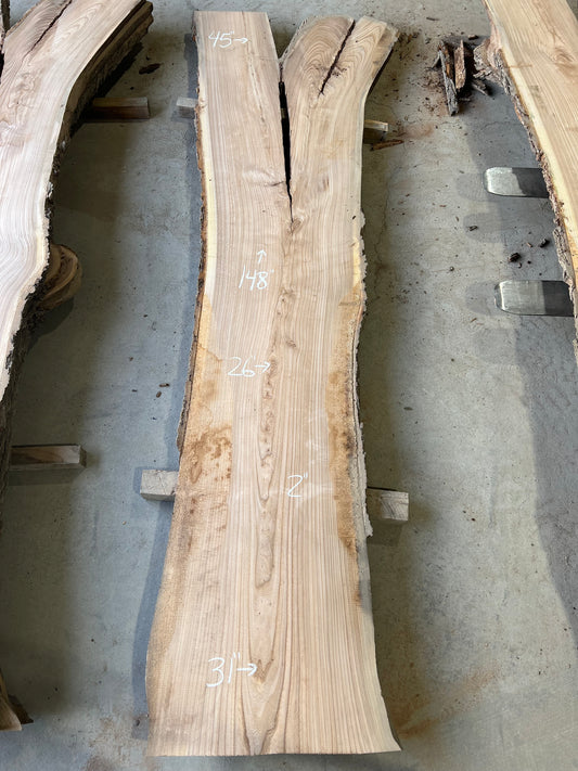Live Edge Elm Sku# 26595S-62