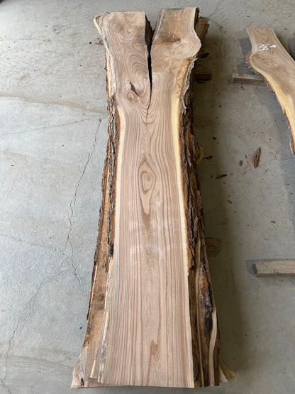 Live Edge Elm Sku# 26597S-50