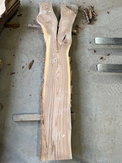 Live Edge Elm Sku# 26598S-40