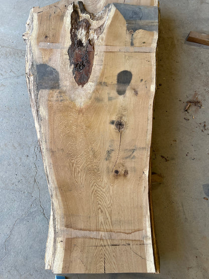 Live Edge White Oak Sku# 26604S-51