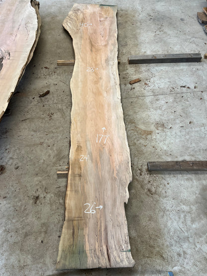 Live Edge Maple Sku#27362S-77