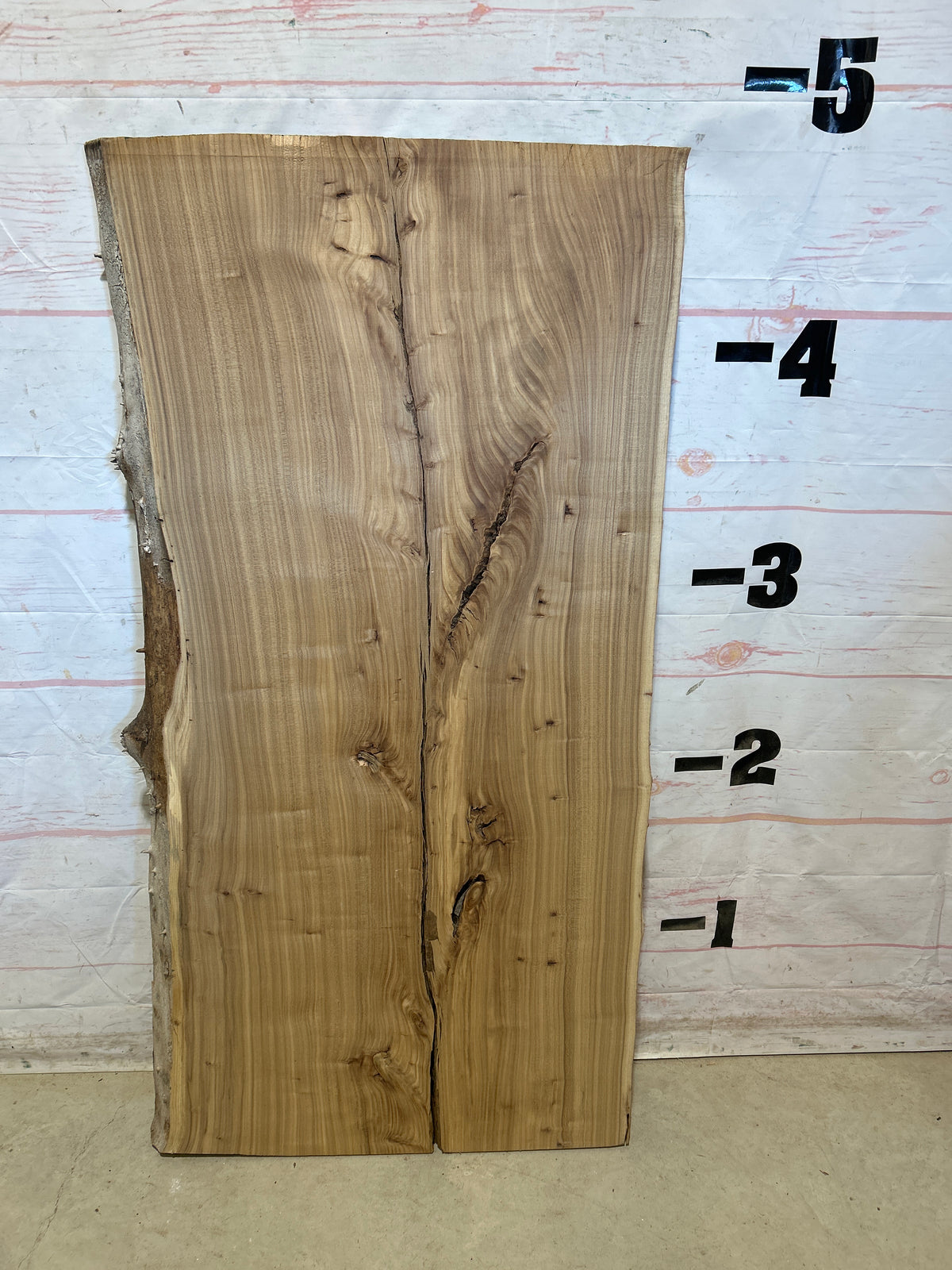 Live Edge Elm Sku#29047D-23