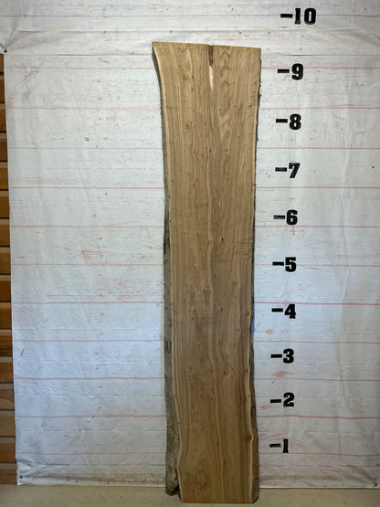 Live Edge Elm Sku#29053-36