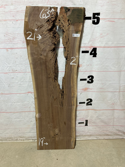 Live Edge Walnut Sku#29067G-18