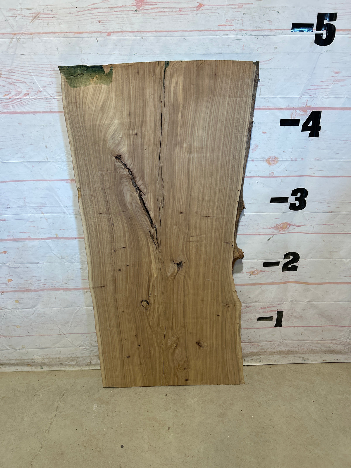 Live Edge Elm Sku#29045D-22