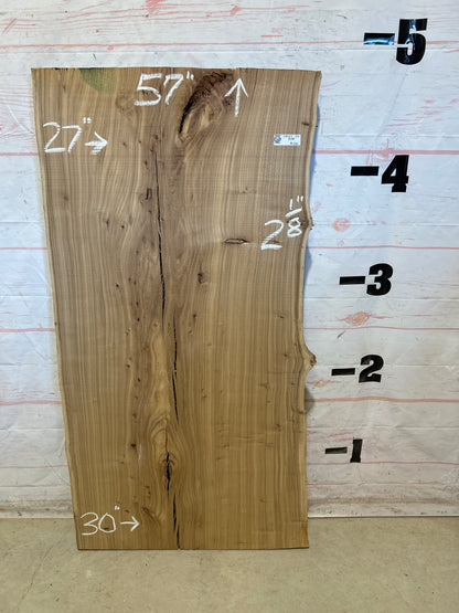 Live Edge Elm Sku#29047D-23
