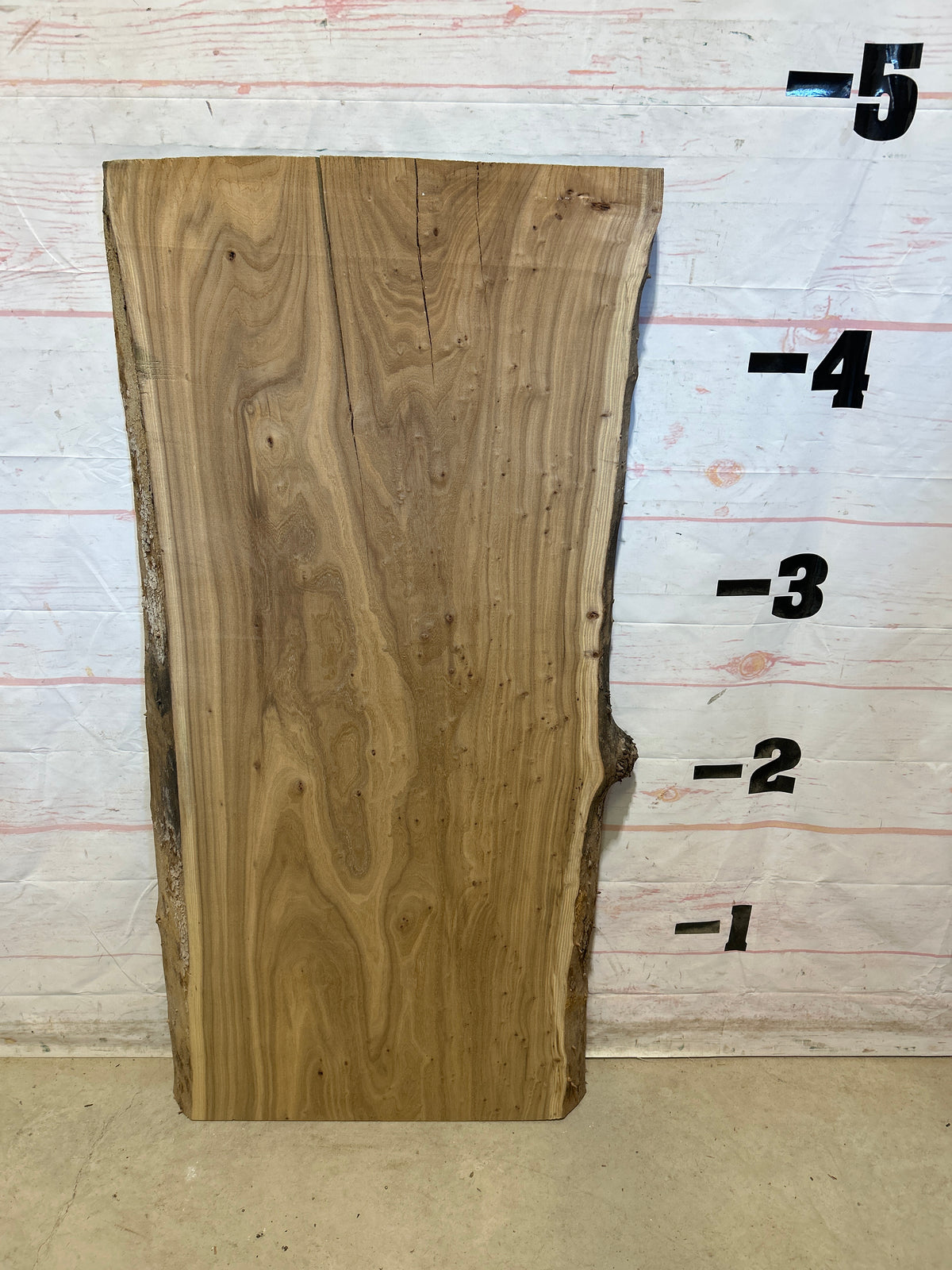 Live Edge Elm Sku#29051D-23