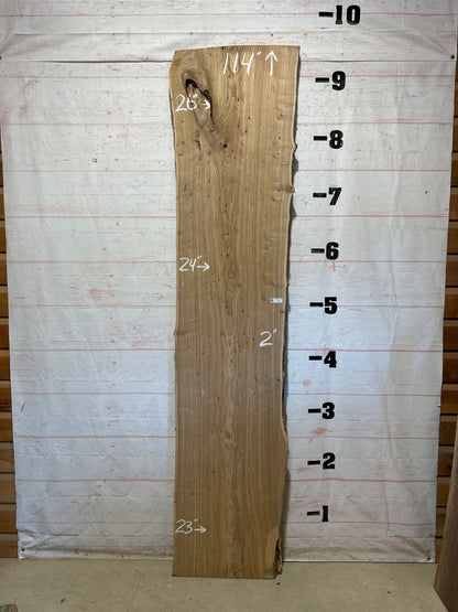 Live Edge Elm Sku#29052-40