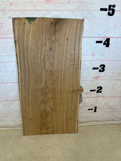 Live Edge Elm Sku#29049D-23