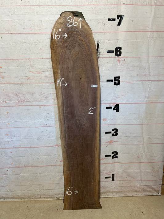 Live Edge Walnut Sku#29054G-22