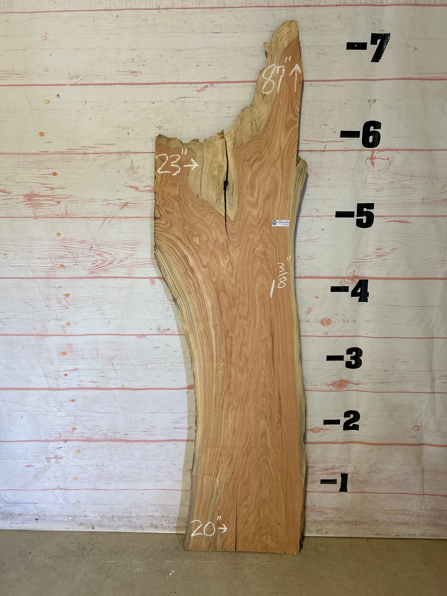 Live Edge Honey Locust Sku#23587-20