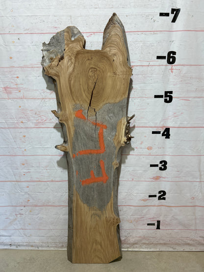 Live Edge Elm Sku#27047-28