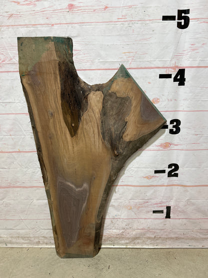 Live Edge Walnut Sku#26856M-14