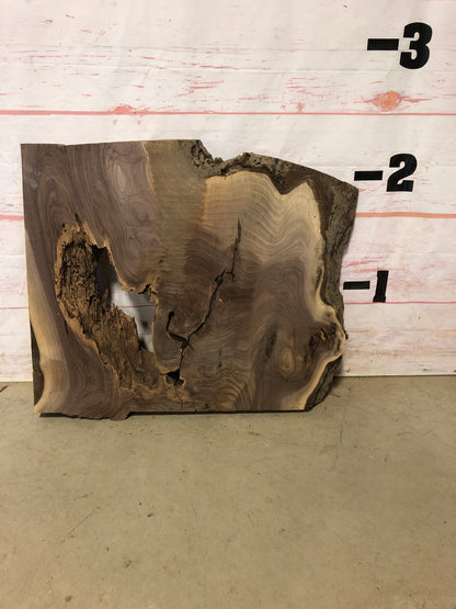 Live Edge Walnut Sku# 22374M-21