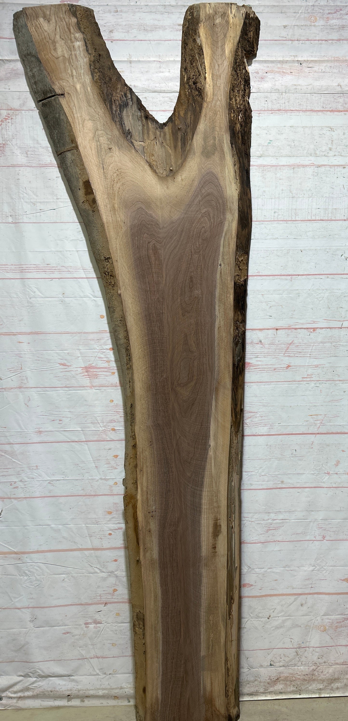 Live Edge Walnut Sku#26783-53