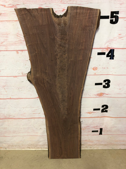 Live Edge Walnut Sku#22889G-12