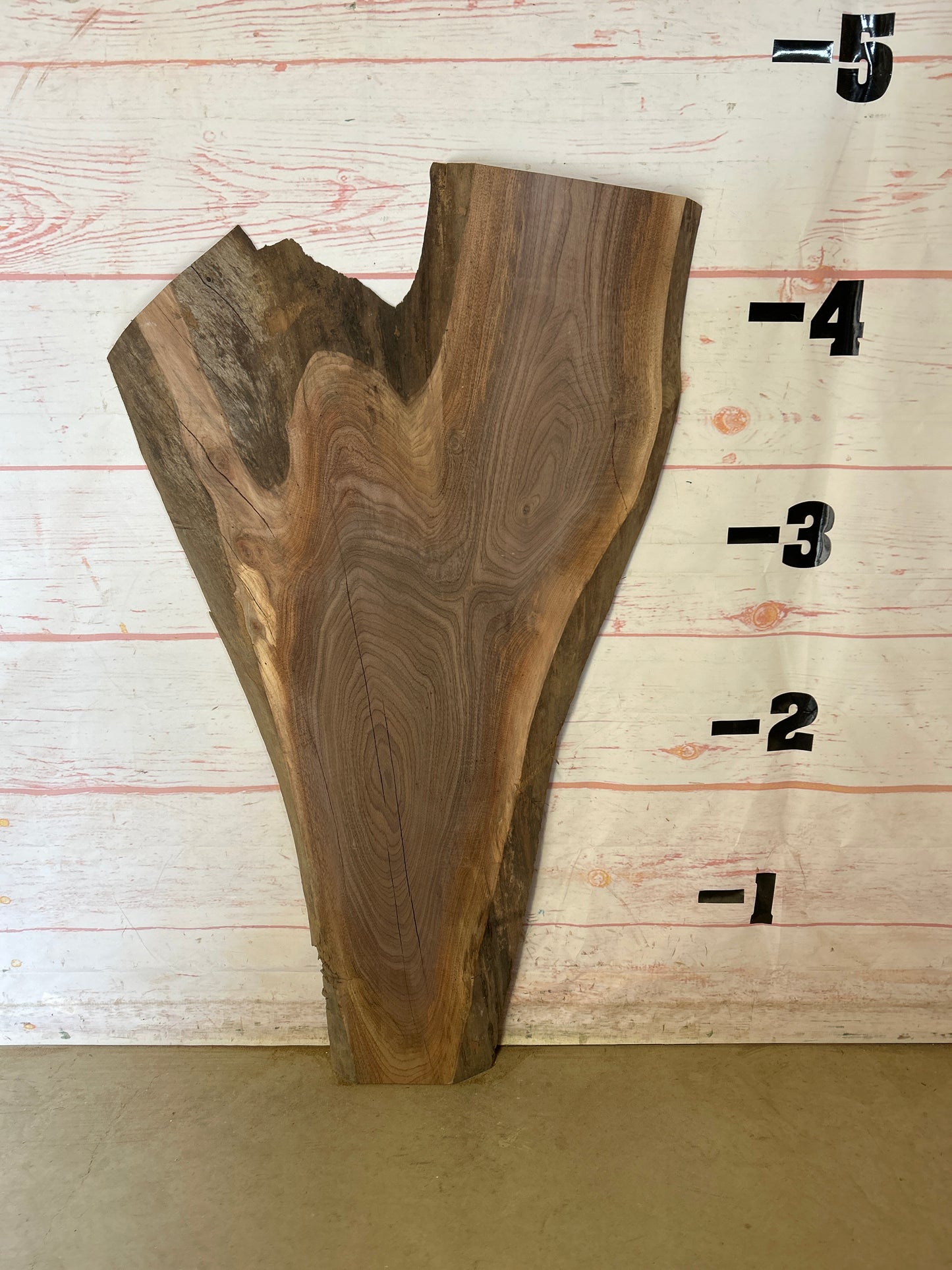 Live Edge Walnut Sku#24800M-15