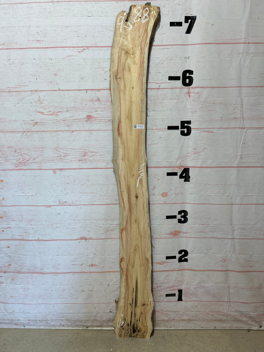 Live Edge Box Elder Sku#25712D-9