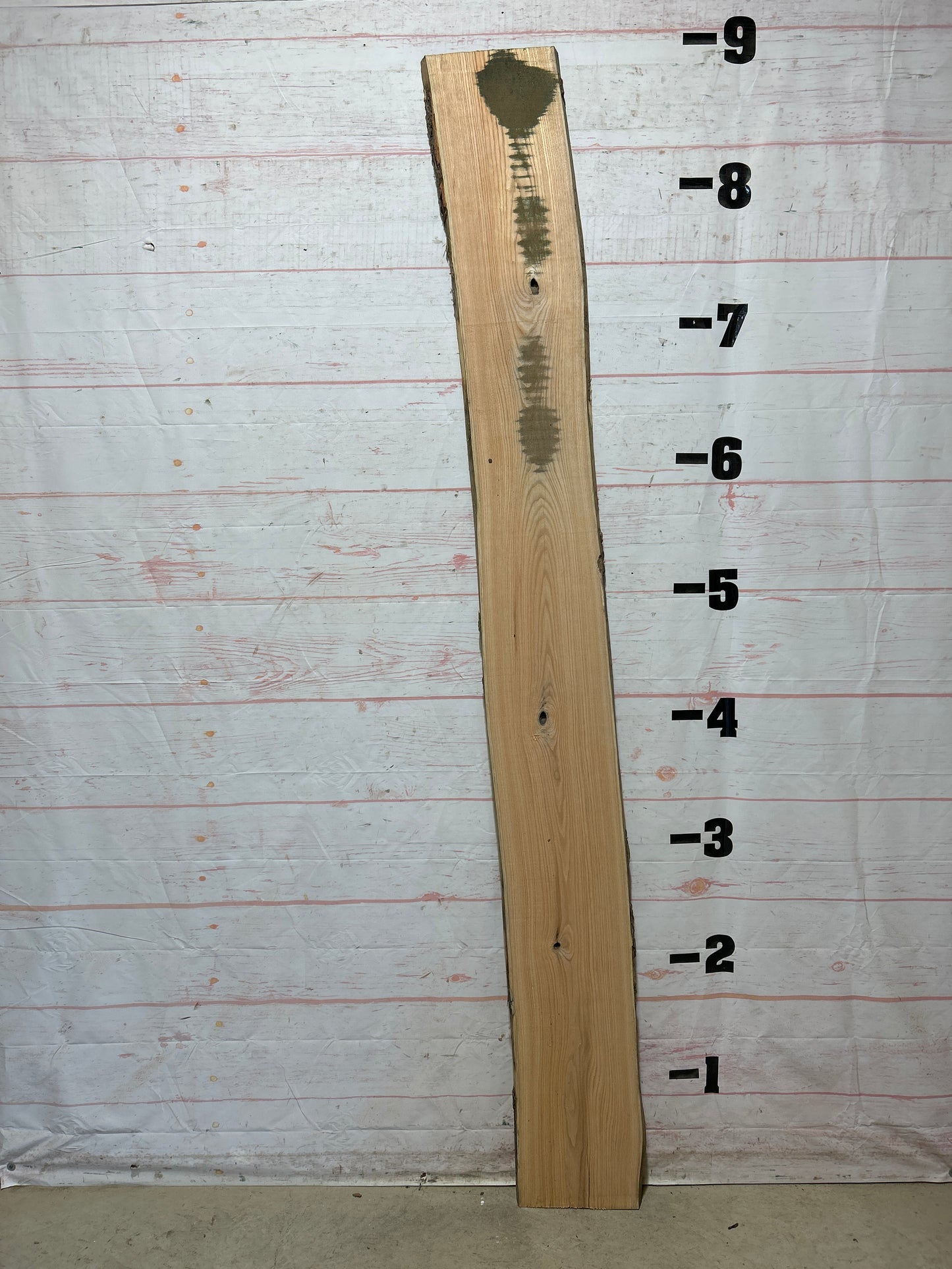 Live Edge Honey Locust Sku#26317H-13