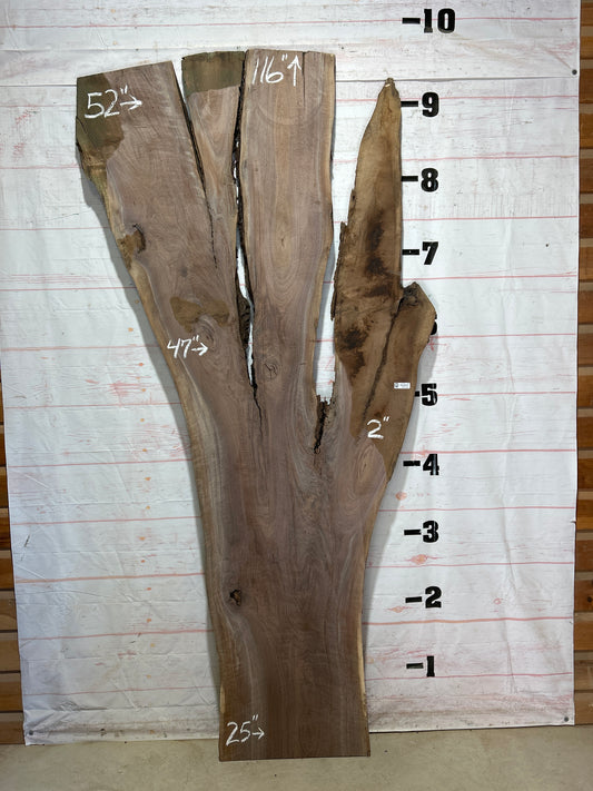 Live Edge Walnut Sku#27129-63
