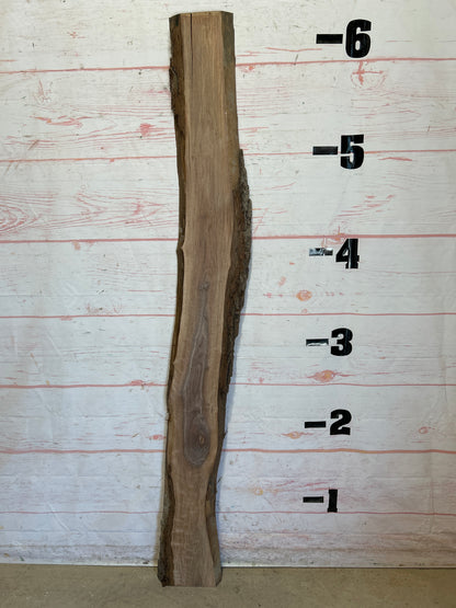 Live Edge Walnut Sku#25425M-5