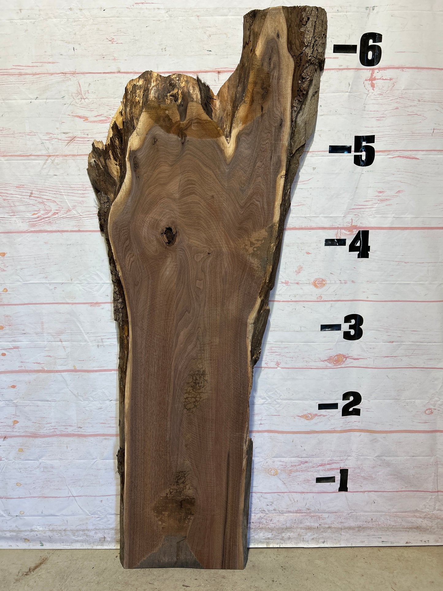 Live Edge Walnut Sku#26363F-24