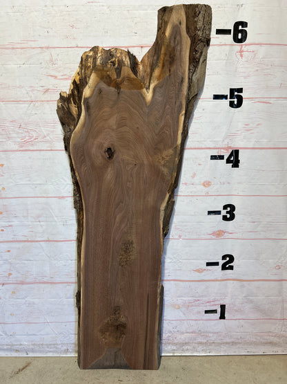 Live Edge Walnut Sku#26363F-24