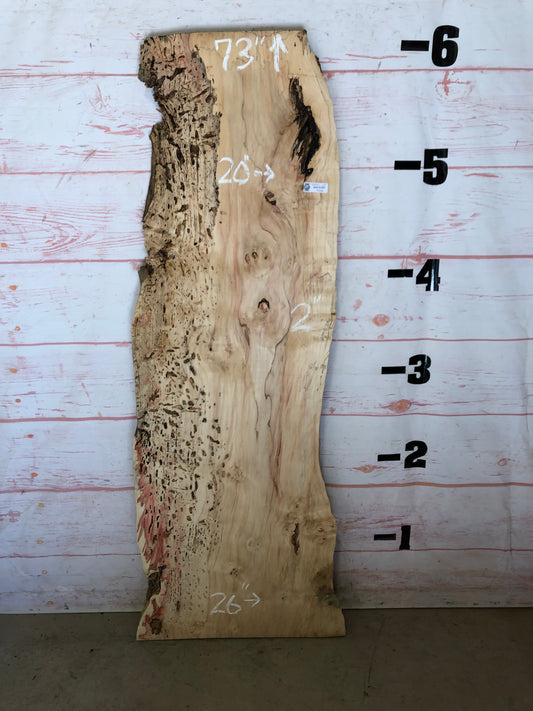 Live Edge Box Elder Sku# 22292L-23