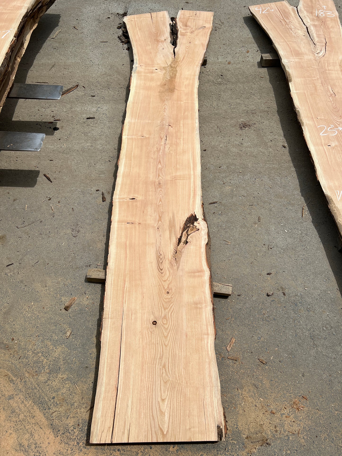 Live Edge Honey Locust - Sku# 20258-70