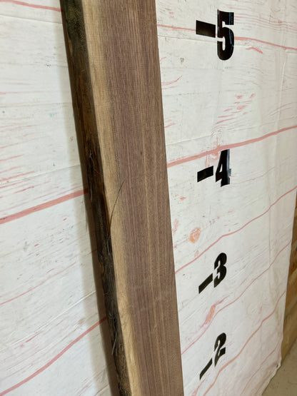 Live Edge Walnut Sku#25958M-4