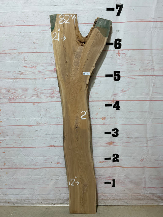 Live Edge Elm Sku#25254H-19