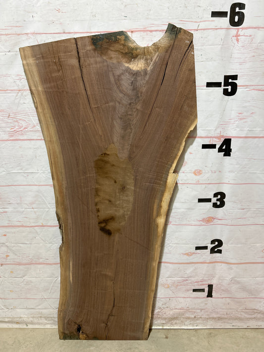 Live Edge Walnut Sku#26816M-19