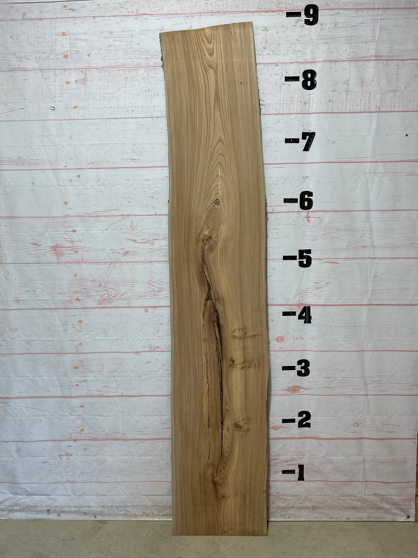 Live Edge Elm Sku#25476H-18