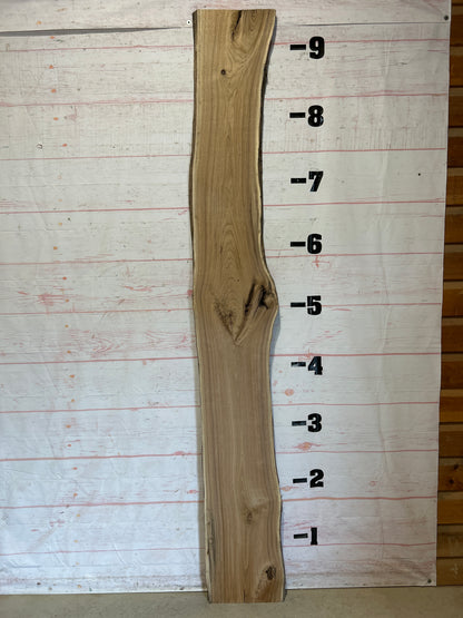 Live Edge Butternut Sku#25944-18