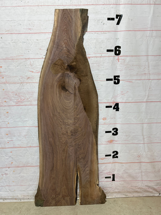 Live Edge Walnut Sku#26968F-22