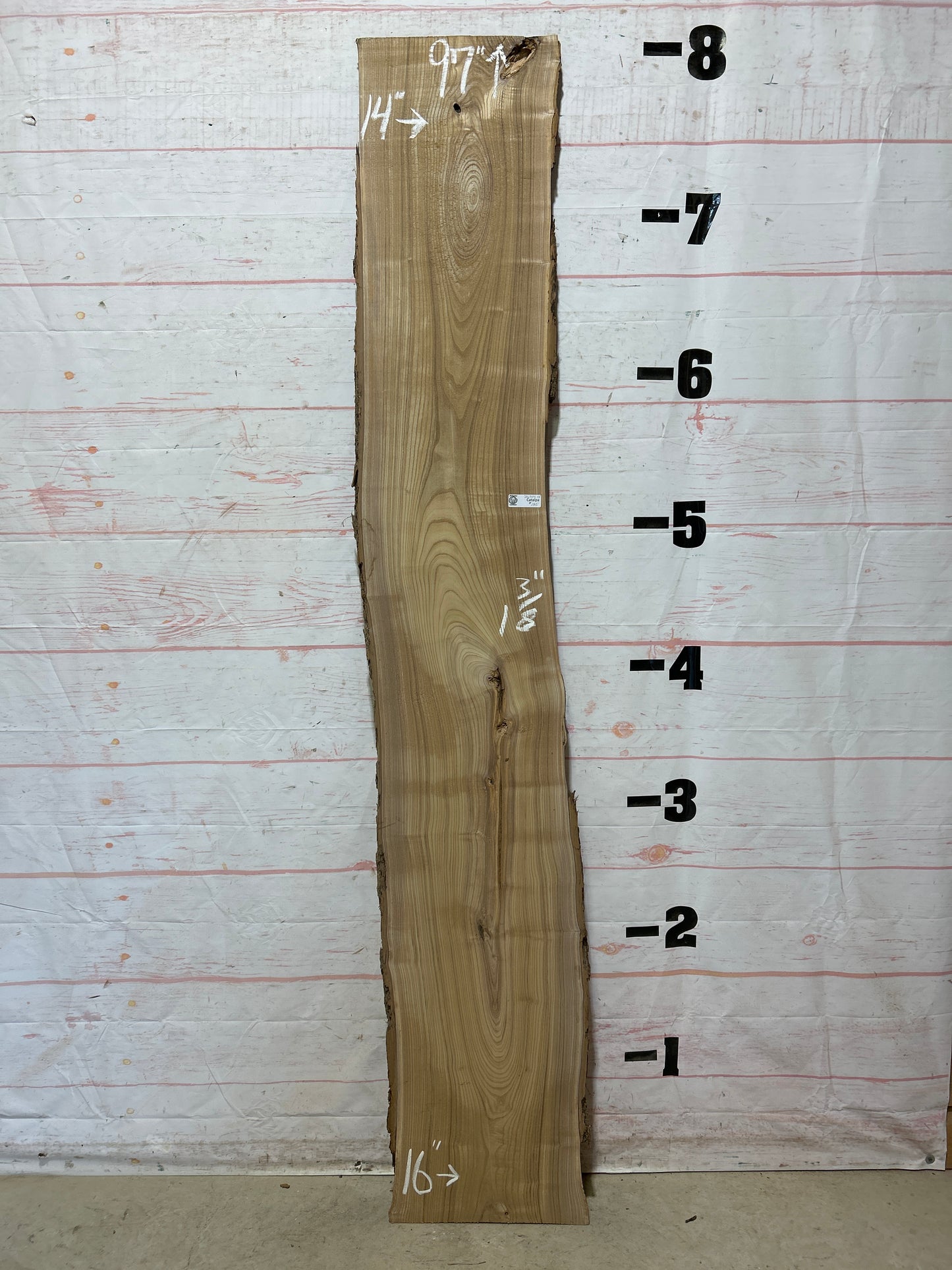 Live Edge Catalpa Sku#26314-15