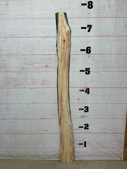 Live Edge Box Elder Sku#25741D-7