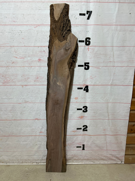 Live Edge Walnut Sku#27150C-11