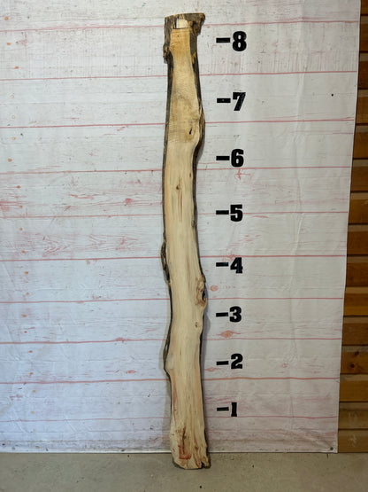 Live Edge Box Elder Sku#25751D-8