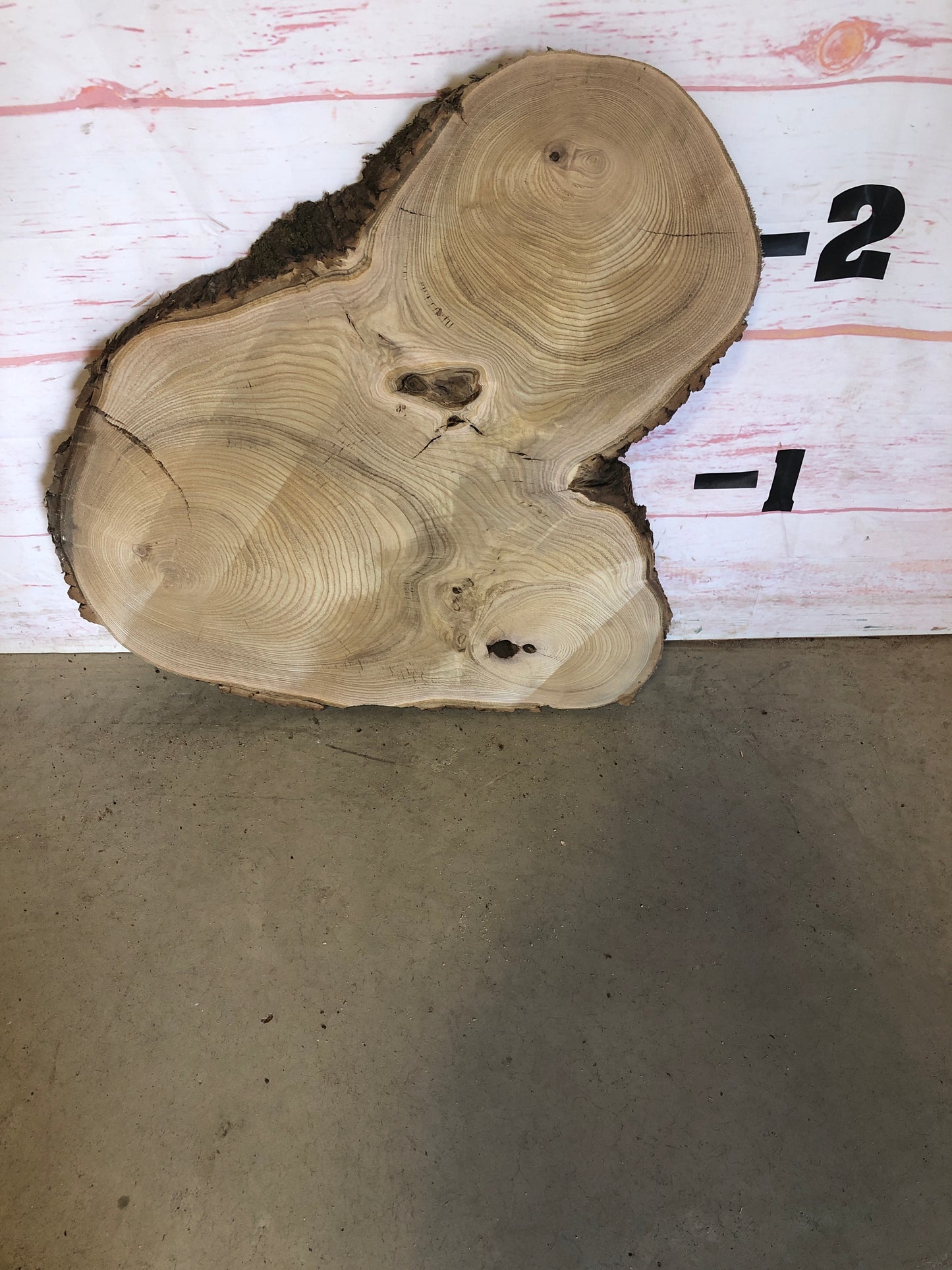 Live Edge Catalpa Cookie Sku#23521M