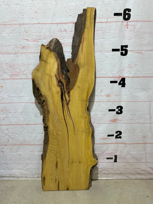 Live Edge Osage Orange Sku#27034B-21
