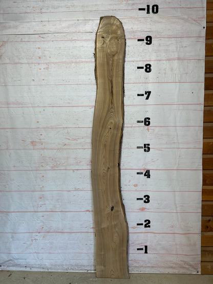 Live Edge Catalpa Sku#25976-16