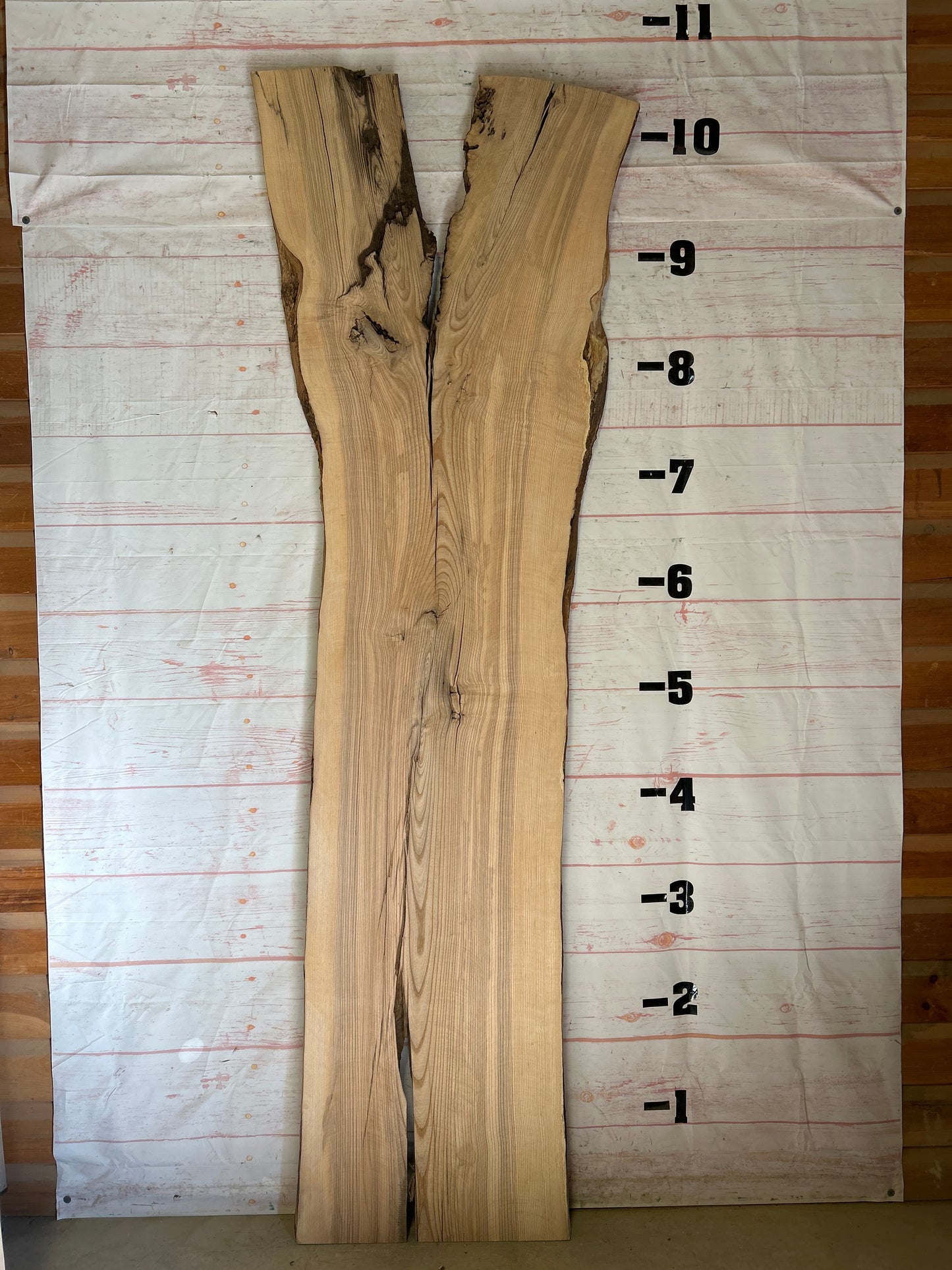 Live Edge Ash Sku#24185-60