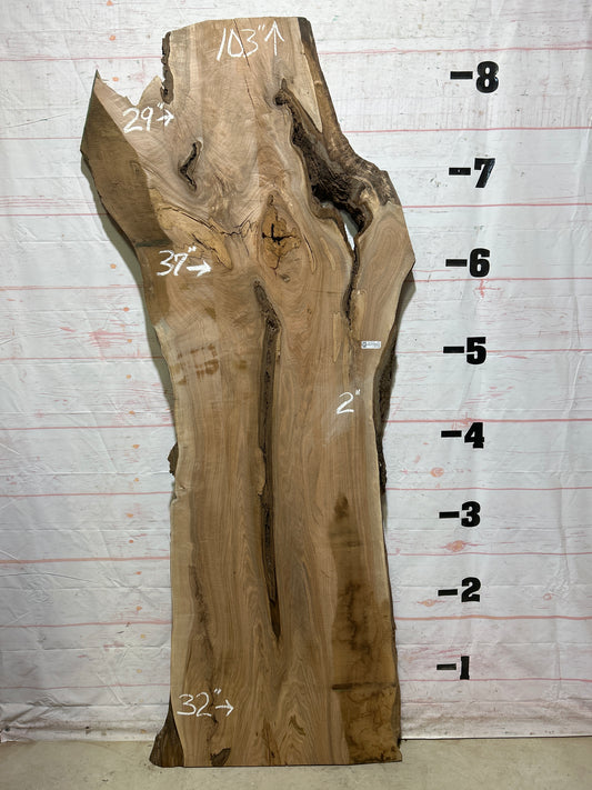 Live Edge Butternut Sku#26749-47