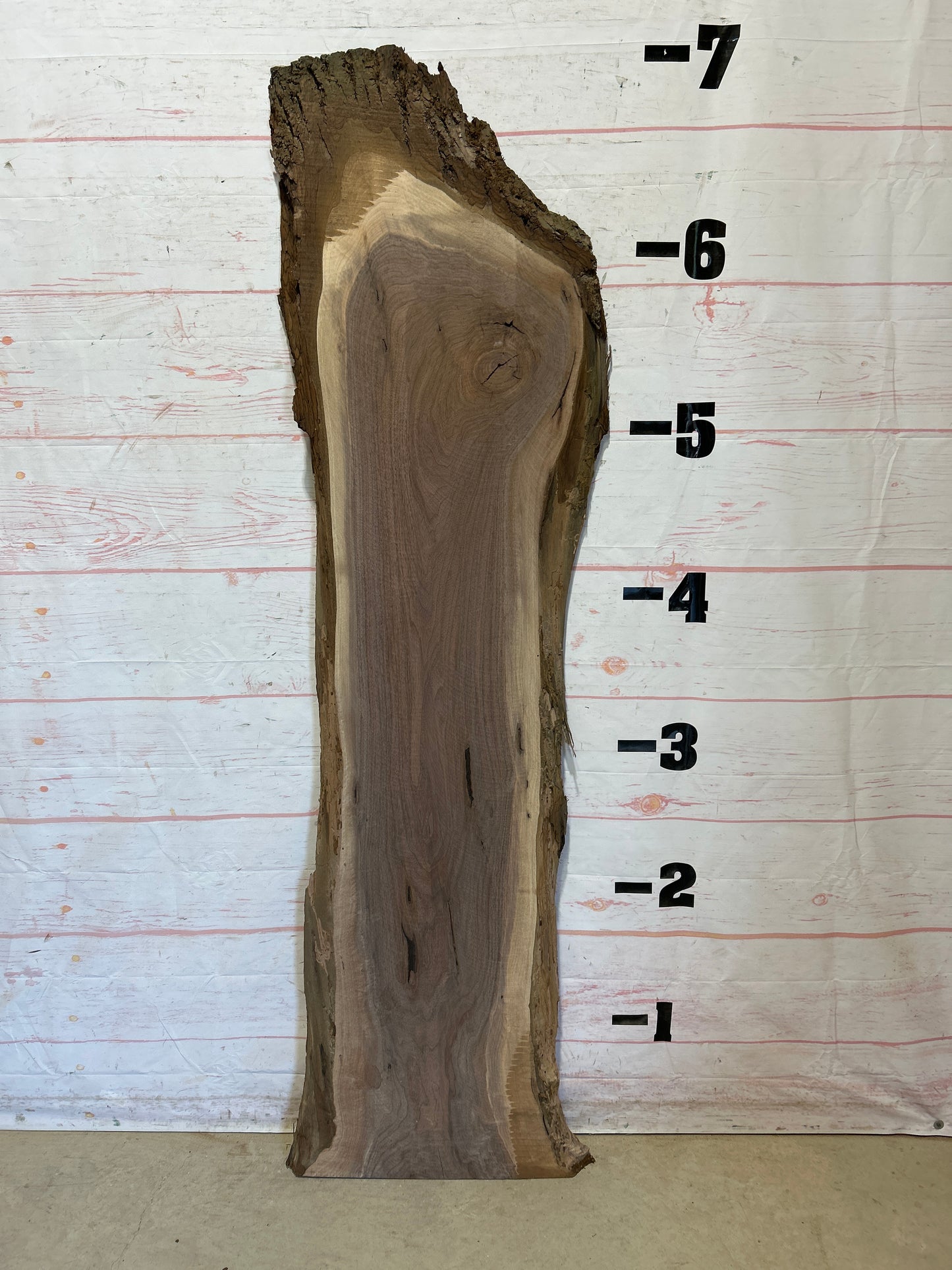 Live Edge Walnut Sku#26058J-24
